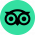 tripadvisor-logo-5